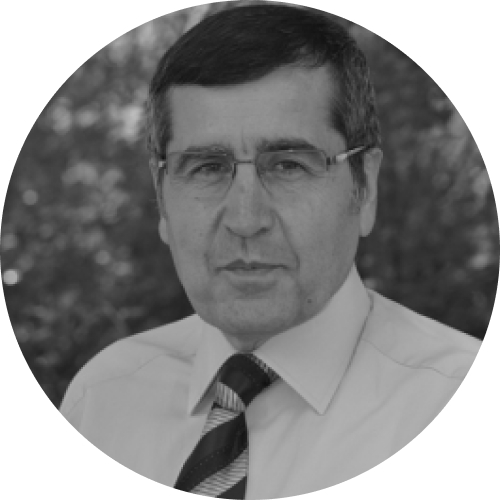 Prof. Dr. Hamit Köksel